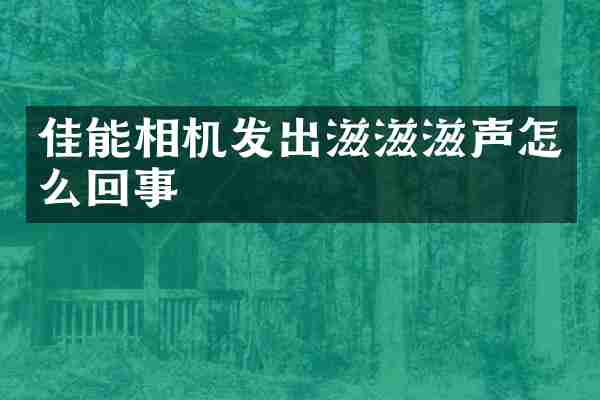 佳能相机发出滋滋滋声怎么回事