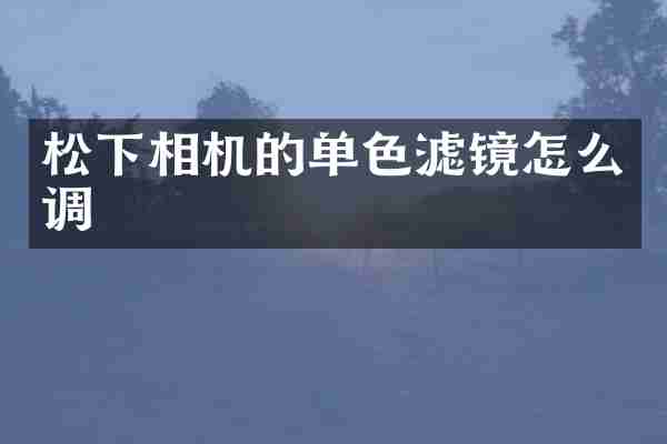 相机的单色滤镜怎么调