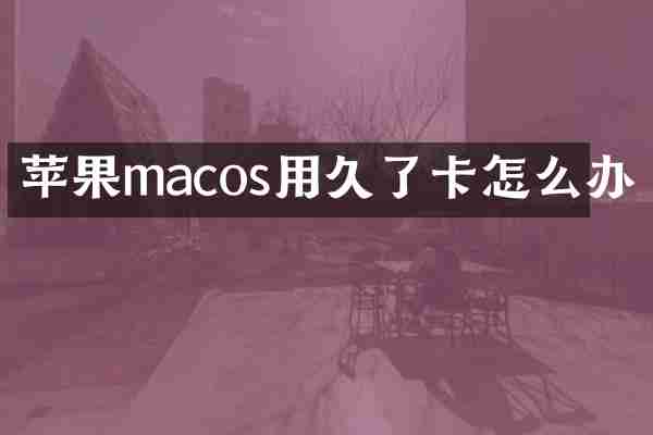 苹果macos用久了卡怎么办