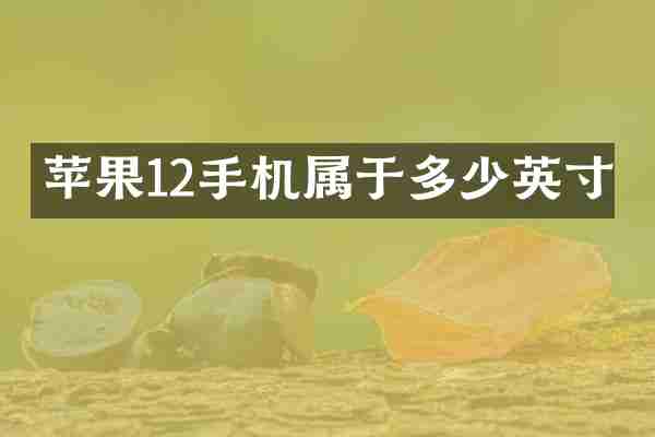 苹果12手机属于多少英寸