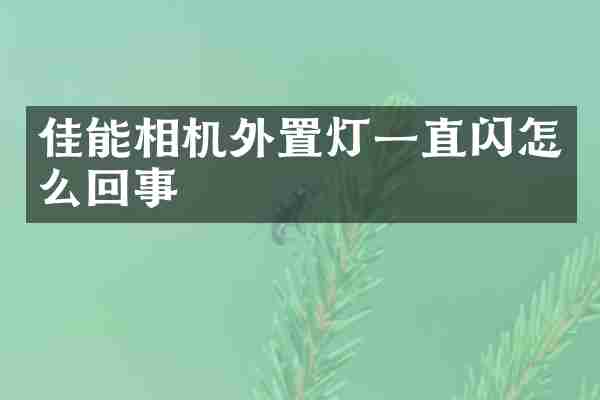 佳能相机外置灯一直闪怎么回事