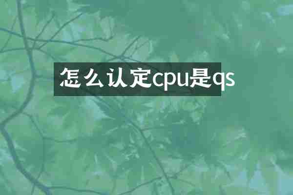 怎么认定cpu是qs