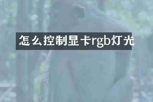 怎么控制显卡rgb灯光