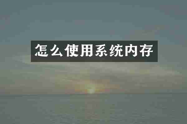 怎么使用系统内存