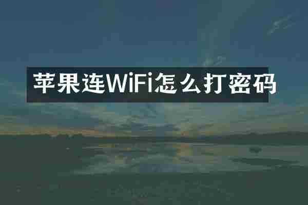 苹果连WiFi怎么打密码