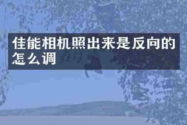 佳能相机照出来是反向的怎么调