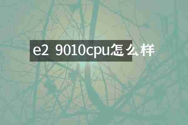 e2 9010cpu怎么样