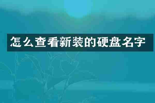 怎么查看新装的硬盘名字