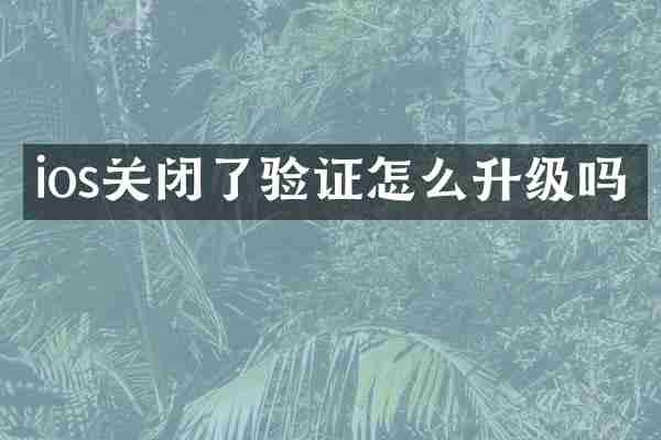 ios关闭了验证怎么升级吗