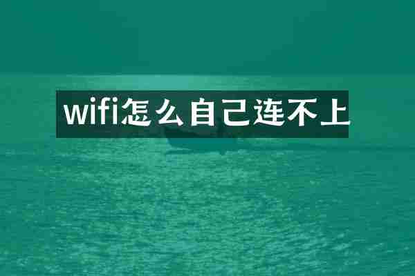 wifi怎么自己连不上