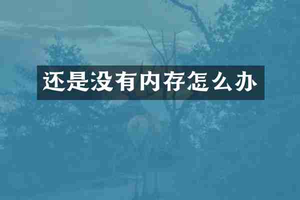 还是没有内存怎么办