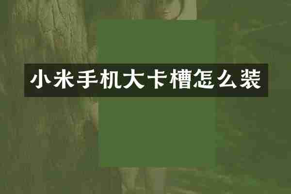 小米手机大卡槽怎么装