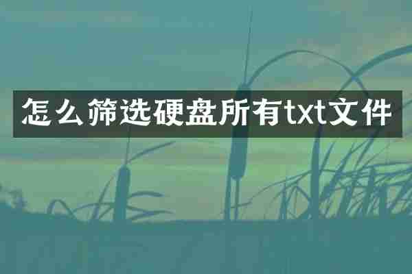 怎么筛选硬盘所有txt文件