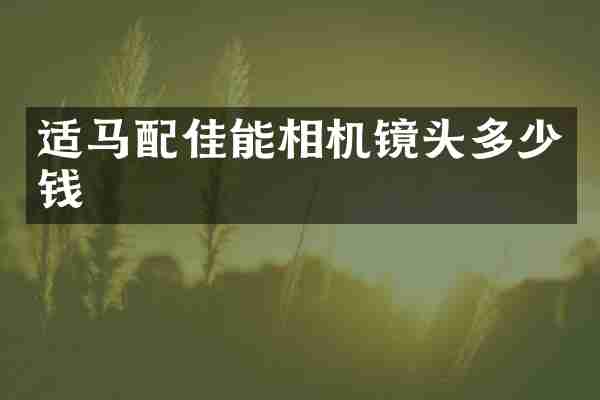 适马配佳能相机镜头多少钱