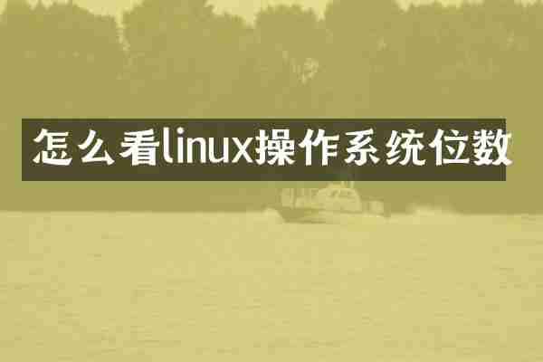 怎么看linux操作系统位数