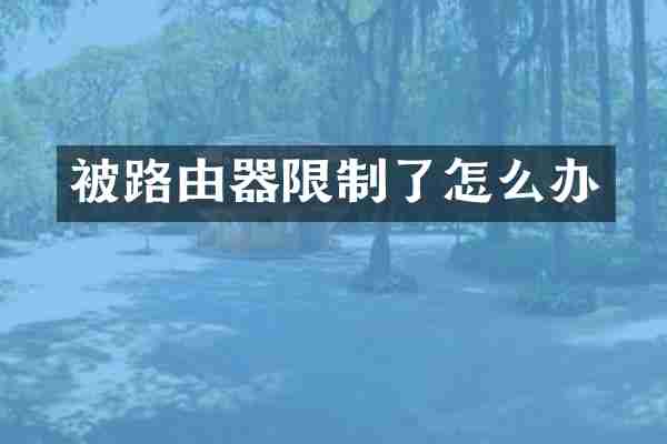 被路由器限制了怎么办