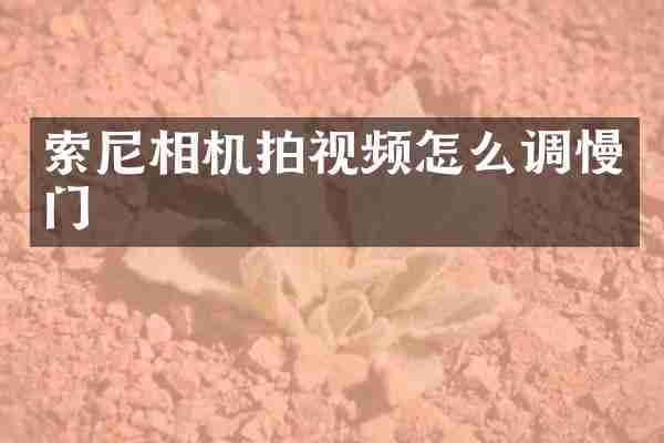 索尼相机拍视频怎么调慢门