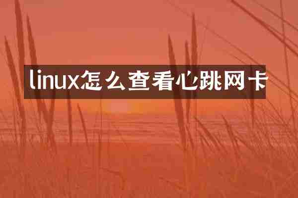 linux怎么查看心跳网卡