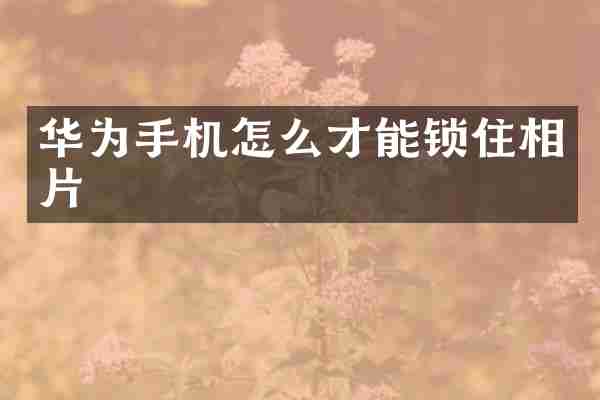 华为手机怎么才能锁住相片