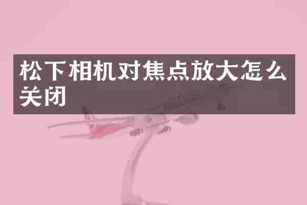 松下相机对焦点放大怎么关闭