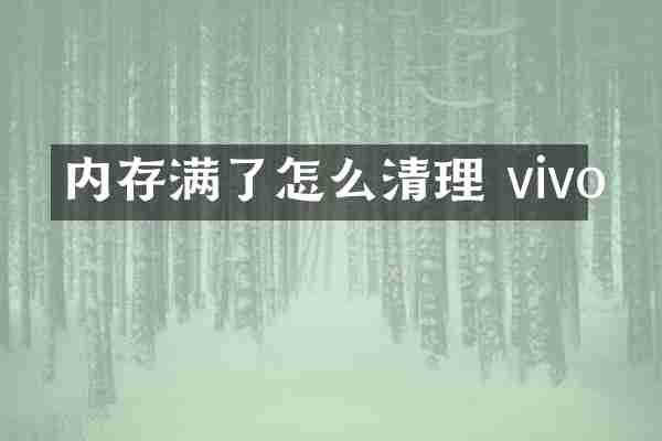 内存满了怎么清理 vivo