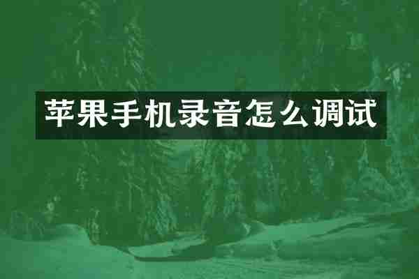 苹果手机录音怎么调试