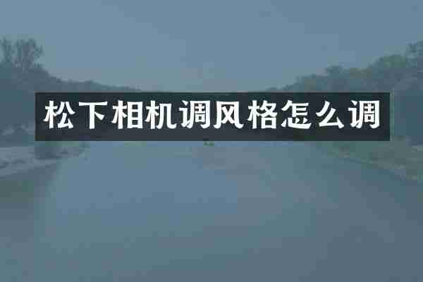 松下相机调风格怎么调