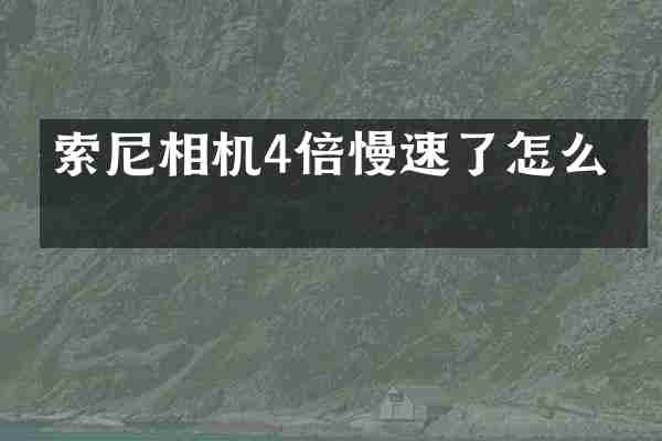 相机4倍慢速了怎么办
