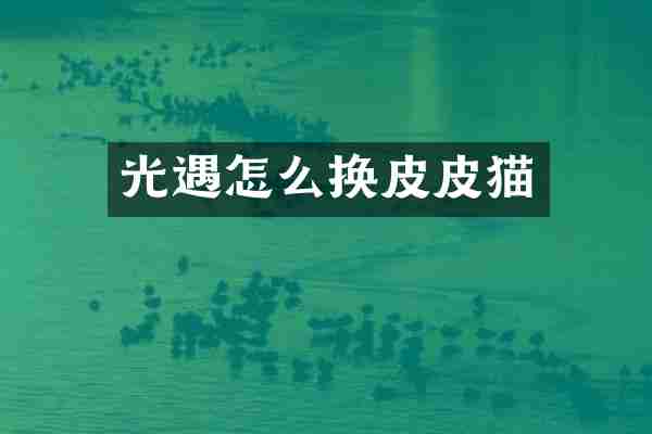 光遇怎么换皮皮猫