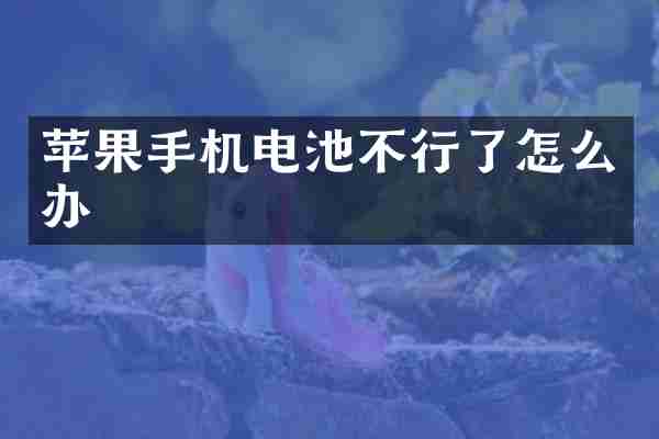 苹果手机电池不行了怎么办