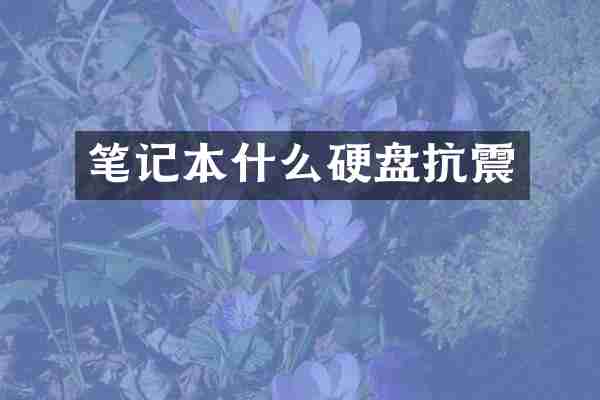 笔记本什么硬盘抗震