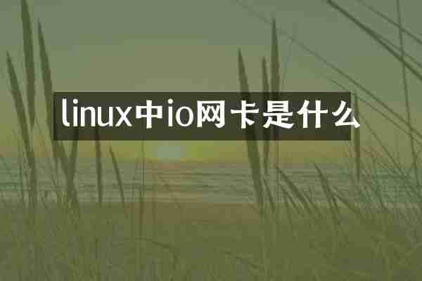 linux中io网卡是什么