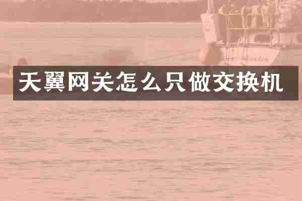 天翼网关怎么只做交换机