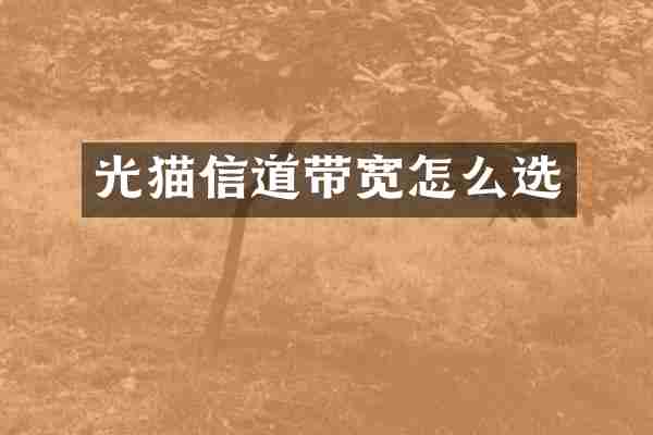 光猫信道带宽怎么选