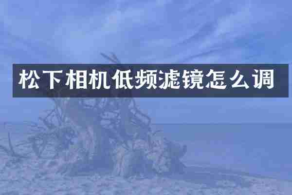 相机低频滤镜怎么调