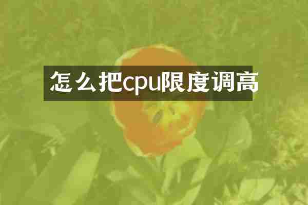 怎么把cpu限度调高