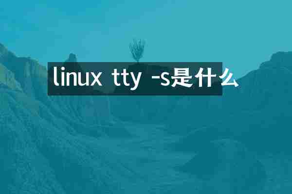linux tty -s是什么