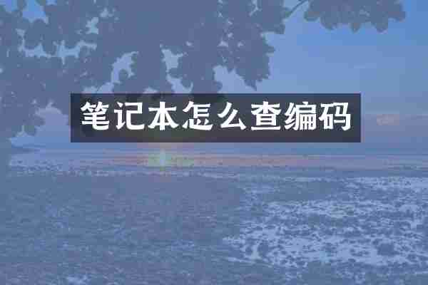 笔记本怎么查编码