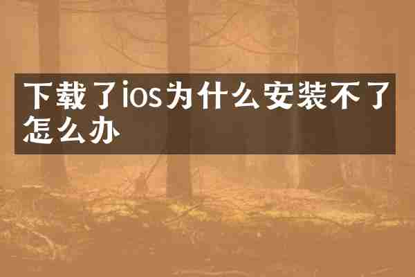 下载了ios为什么安装不了怎么办