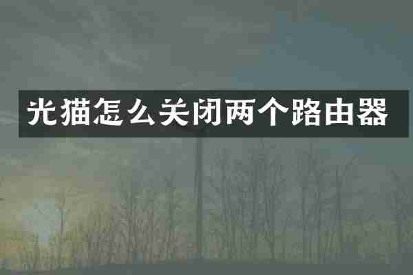 光猫怎么关闭两个路由器