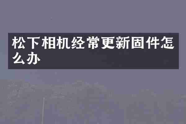 松下相机经常更新固件怎么办