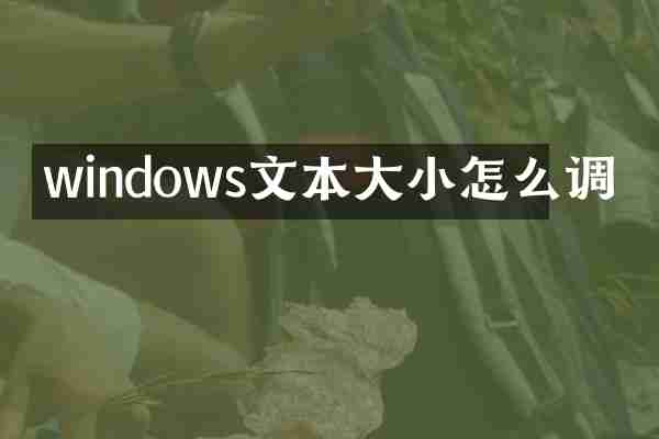 windows文本大小怎么调
