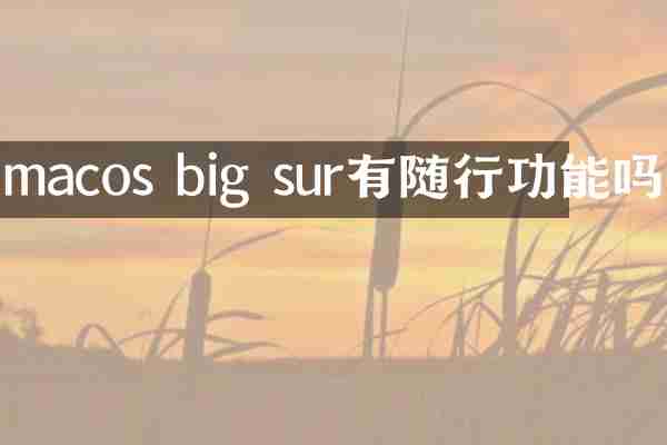 macos big sur有随行功能吗