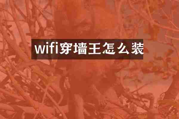 wifi穿墙王怎么装
