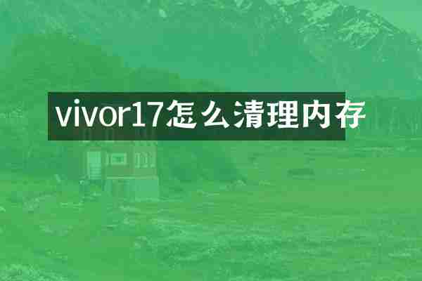 vivor17怎么清理内存