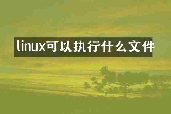 linux可以执行什么文件