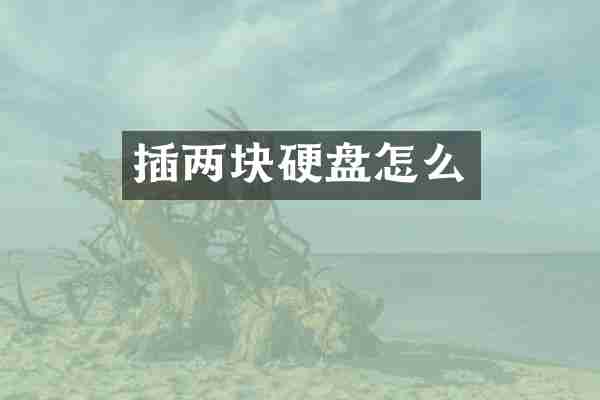 插两块硬盘怎么