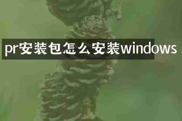 pr安装包怎么安装windows