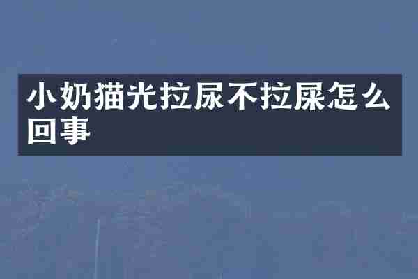 小奶猫光拉尿不拉屎怎么回事