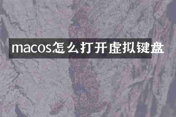 macos怎么打开虚拟键盘